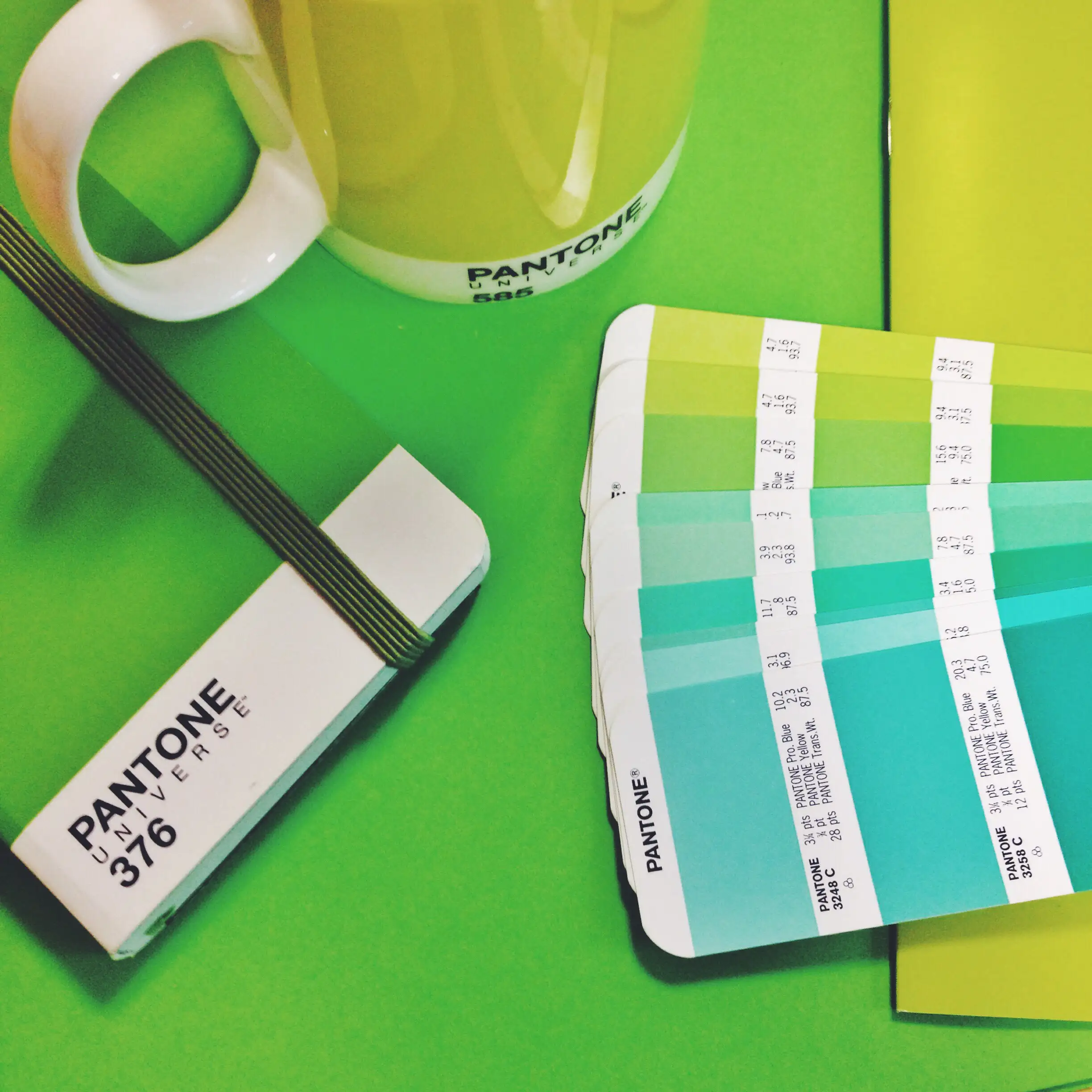 Boutique Pantone